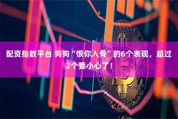 配资指数平台 狗狗“恨你入骨”的6个表现，超过2个要小心了！