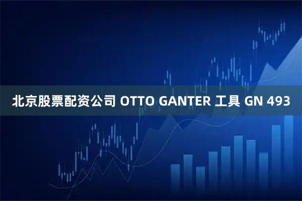 北京股票配资公司 OTTO GANTER 工具 GN 493