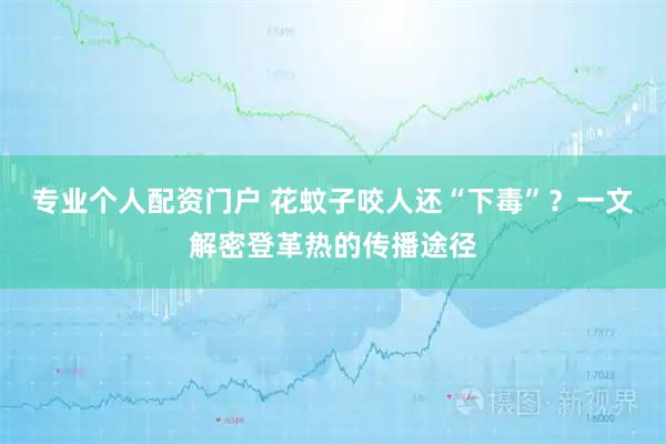 专业个人配资门户 花蚊子咬人还“下毒”？一文解密登革热的传播途径